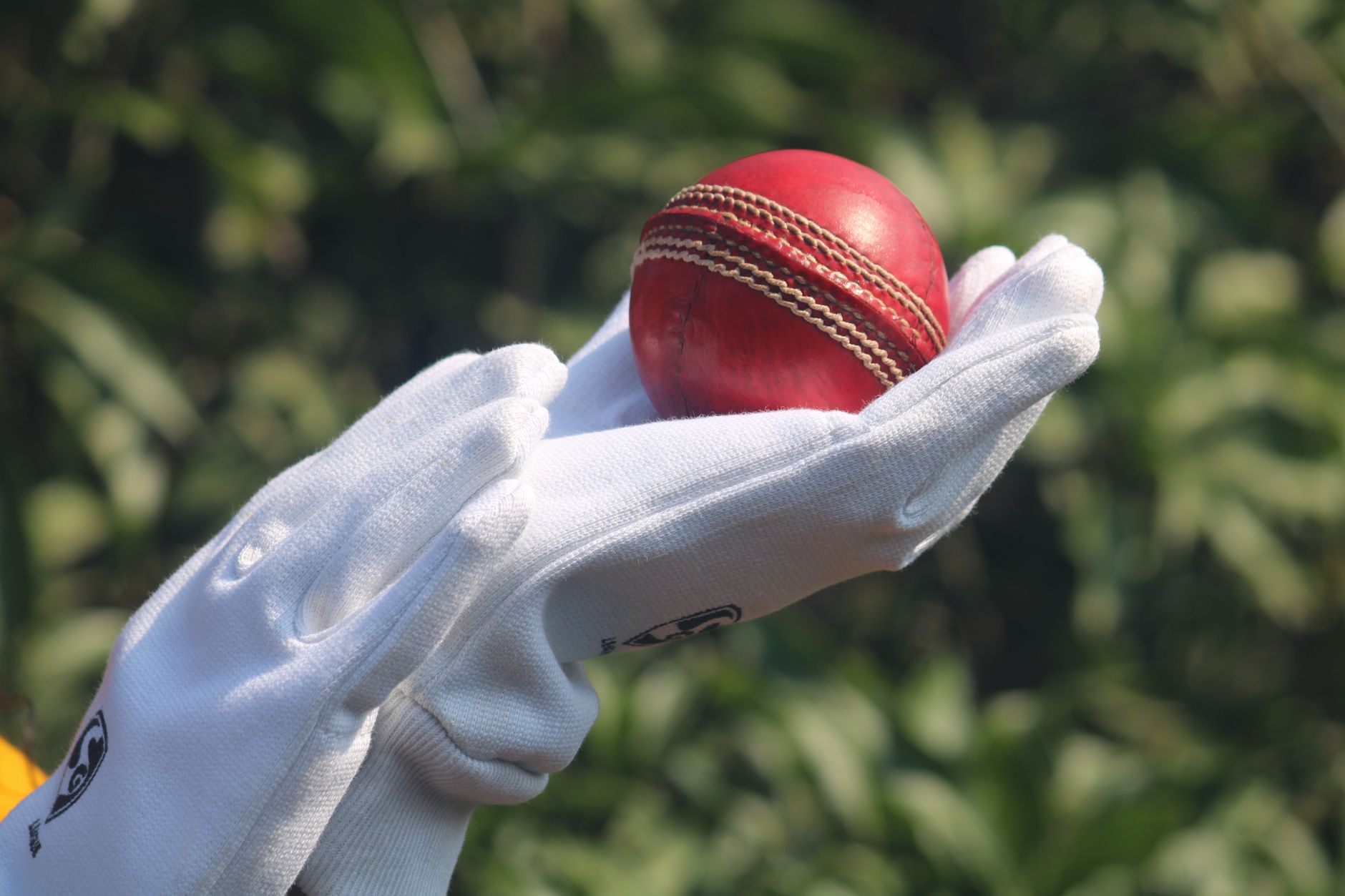 Afghanistan vs India T20 2026: Best Streaming Options Revealed